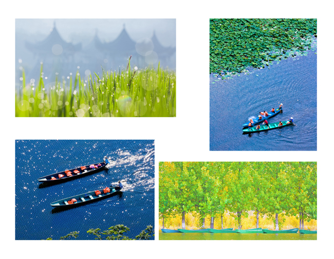 中船集团董事长_昆船集团一机职工收入